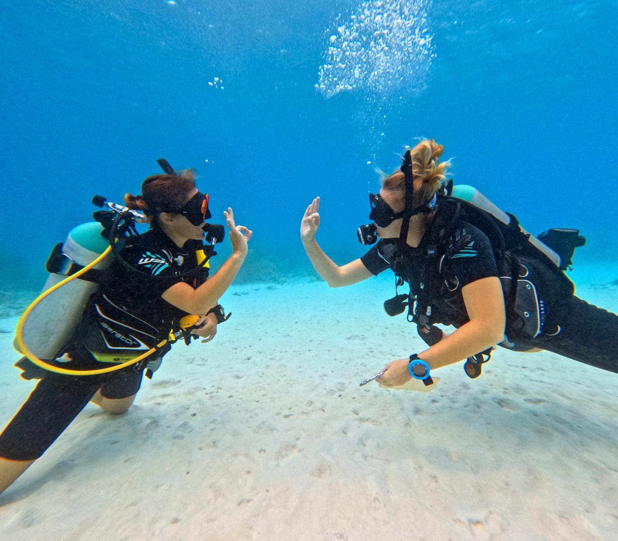 Bloozz Resort Bonaire Kralendijk na wyspie Bonaire Zewnętrze zdjęcie
