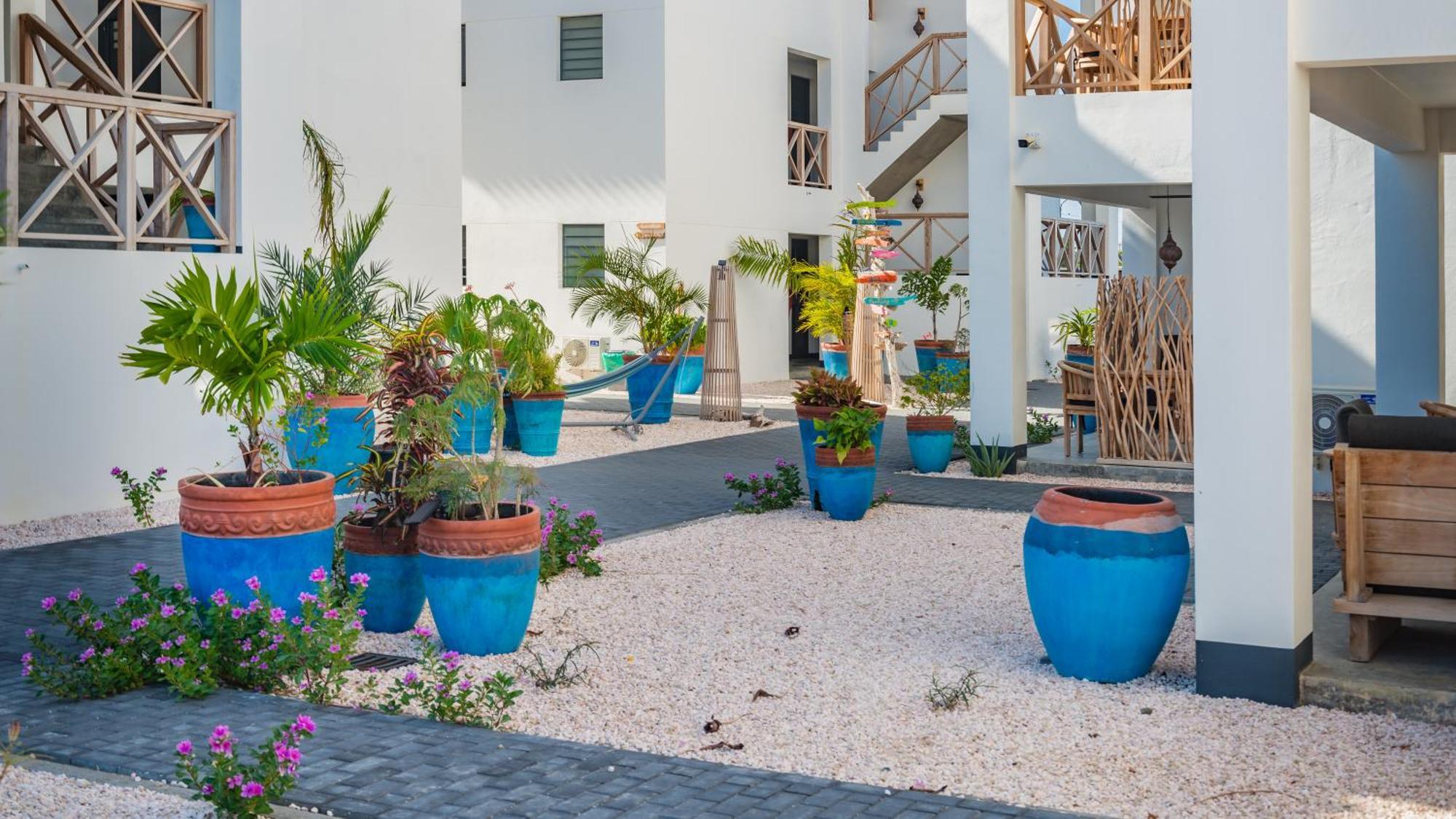 Bloozz Resort Bonaire Kralendijk na wyspie Bonaire Zewnętrze zdjęcie